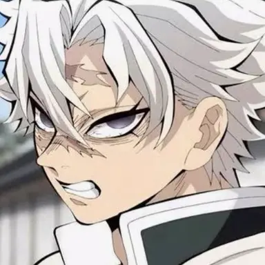 Profile image of 시나즈가와 사네미