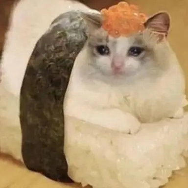 Profile image of ENTJ