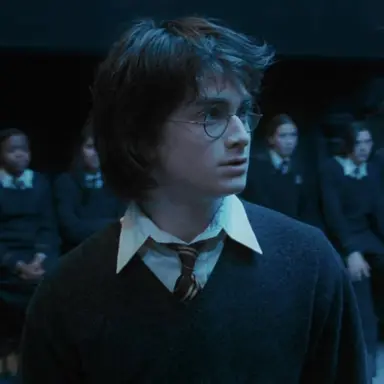 Profile image of Harry Potter