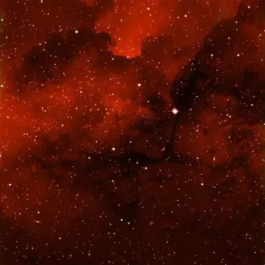 Profile image of 플래그