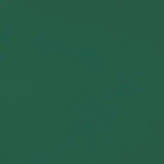 Profile image of 善法寺伊作