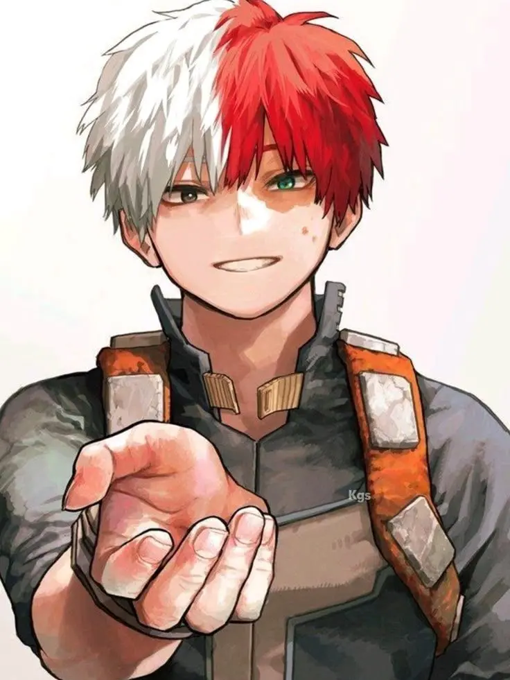 Novachanz의 Shoto Todoroki