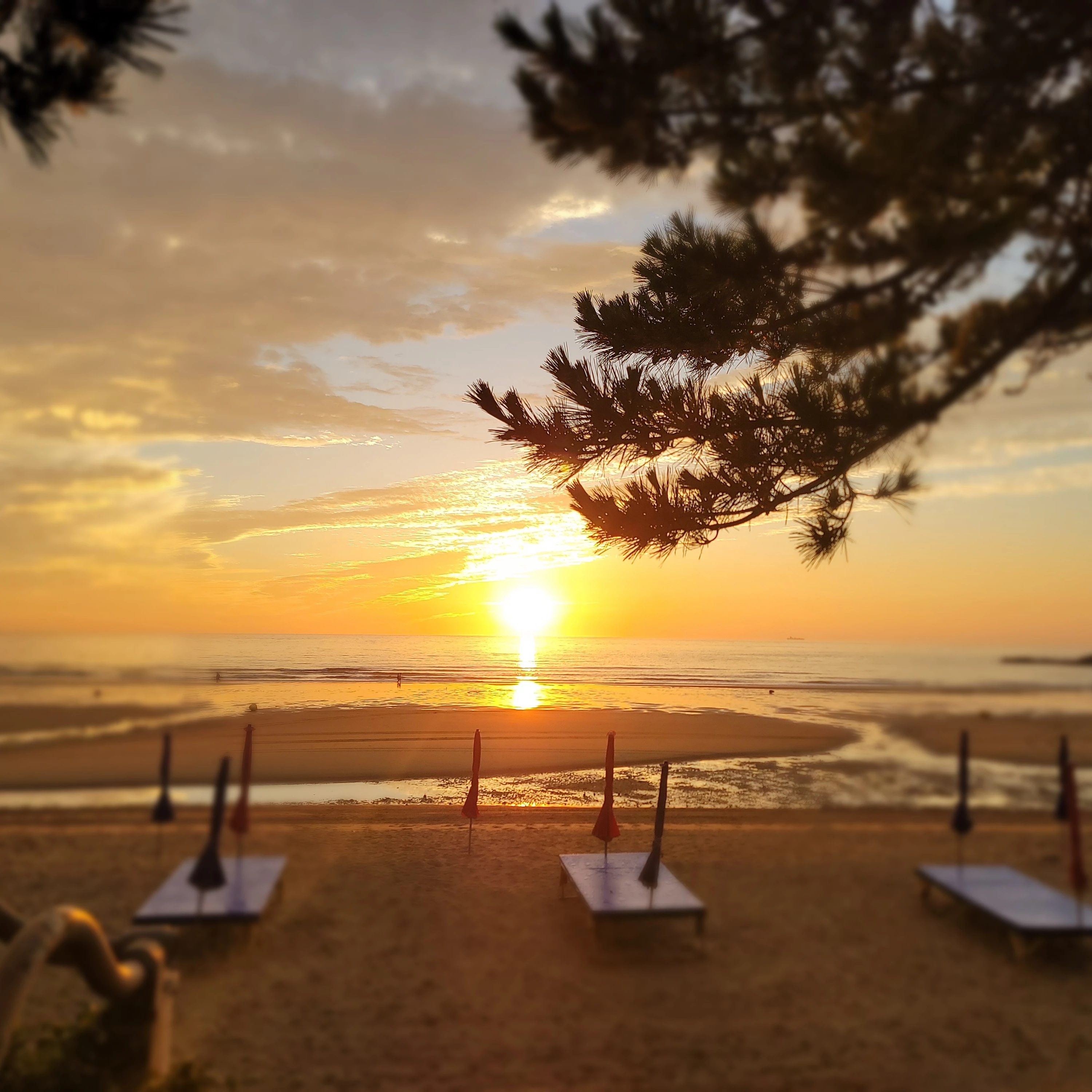한도혁