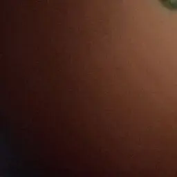 skduekwhd의 다친 사슴