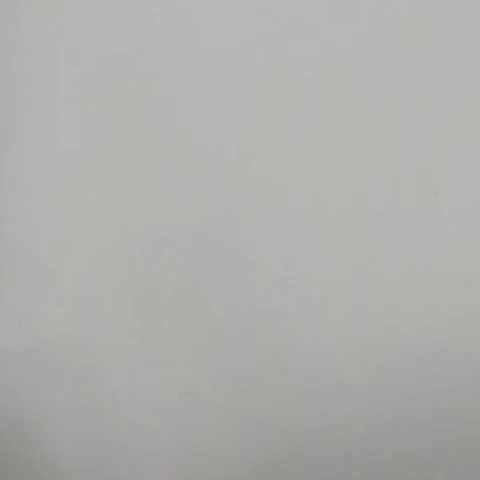 알렉스 블랙