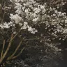 Profile image of 여자 메니저