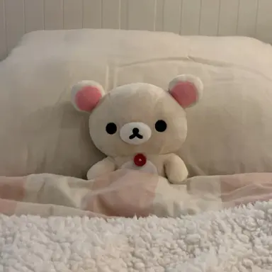 Profile image of 김일영