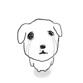 Profile image of Yeon