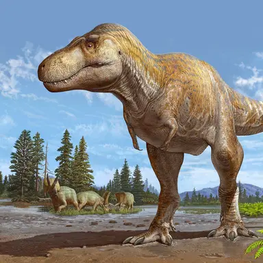 Profile image of Rexy