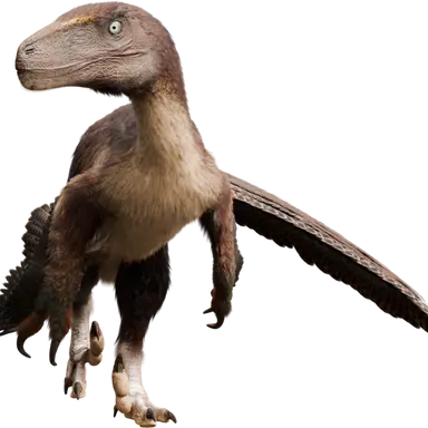 Profile image of Uta