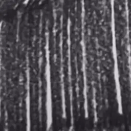 Profile image of あき