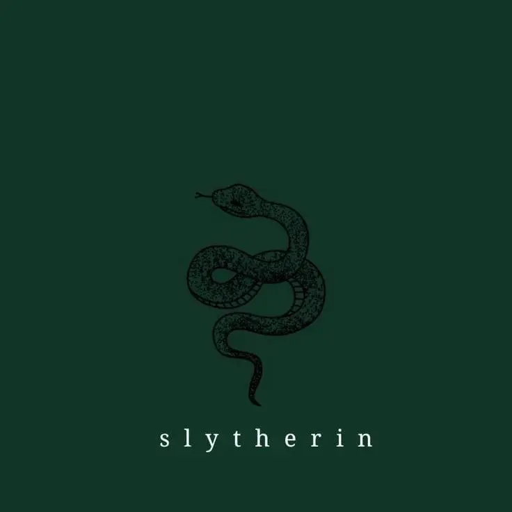 StiffDingo5648의 貴方だけでも受け止めて