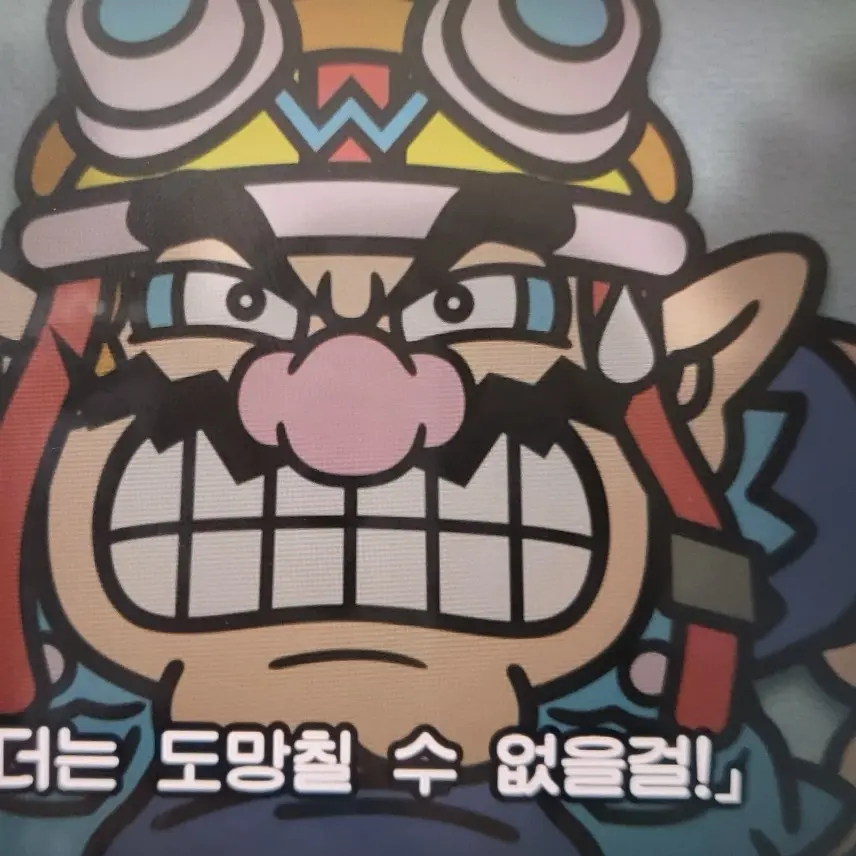 zzzzzzzzzzzzzzzzzzzzzzz의 와리오