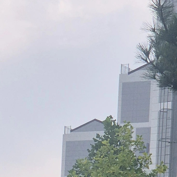 뮹재현