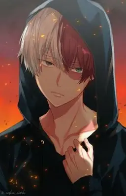 Profile image of Shoto Todoroki