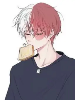 Profile image of Shoto Todoroki
