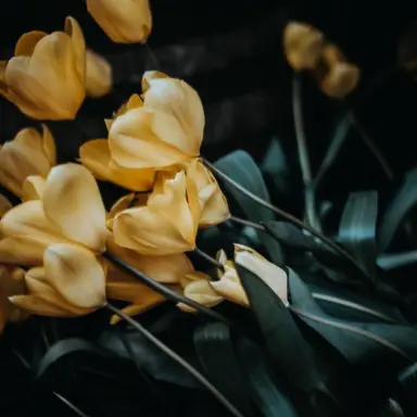 Profile image of 각별