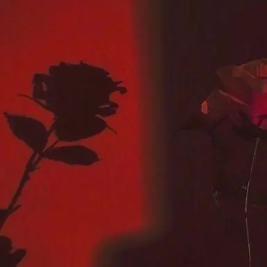 Profile image of 라더