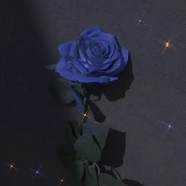 Profile image of 잠뜰