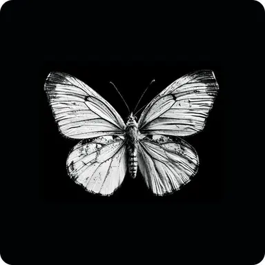 Profile image of 조석봉