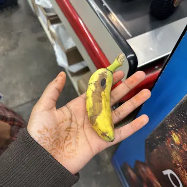 Profile image of Lao jakobs