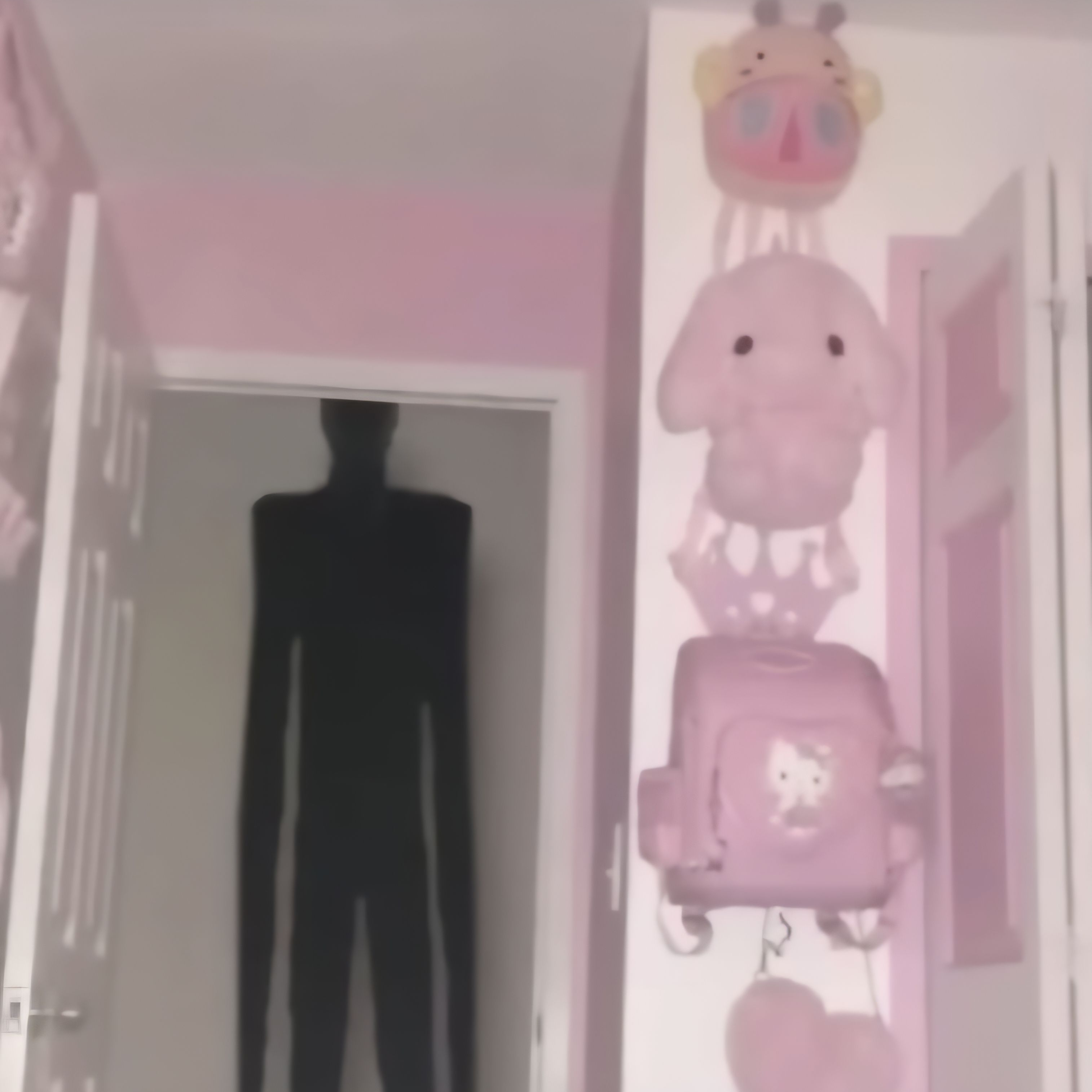 kitty's house 대표 이미지