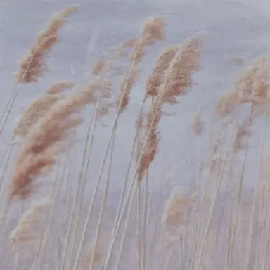 Profile image of 여우히