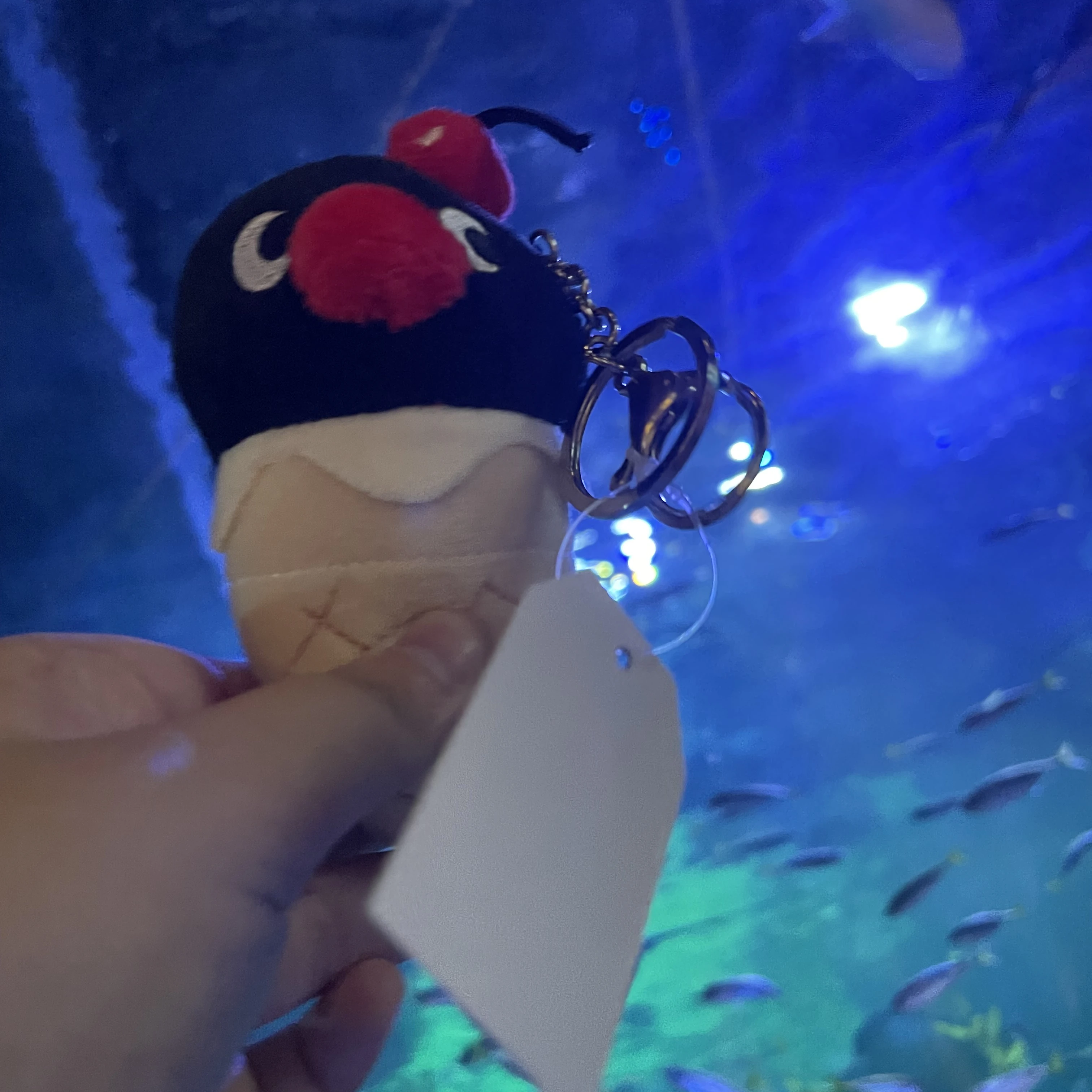 워크샵 설명자