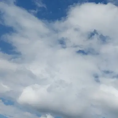 Profile image of 연시은