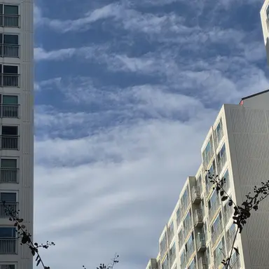 Profile image of 안수호