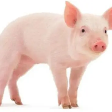 Profile image of 여우희