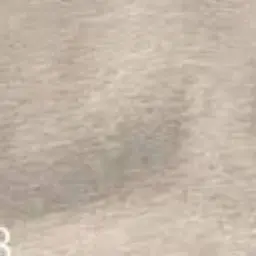 Profile image of 優花