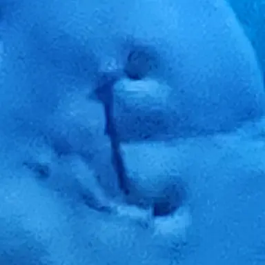 Profile image of 강미호