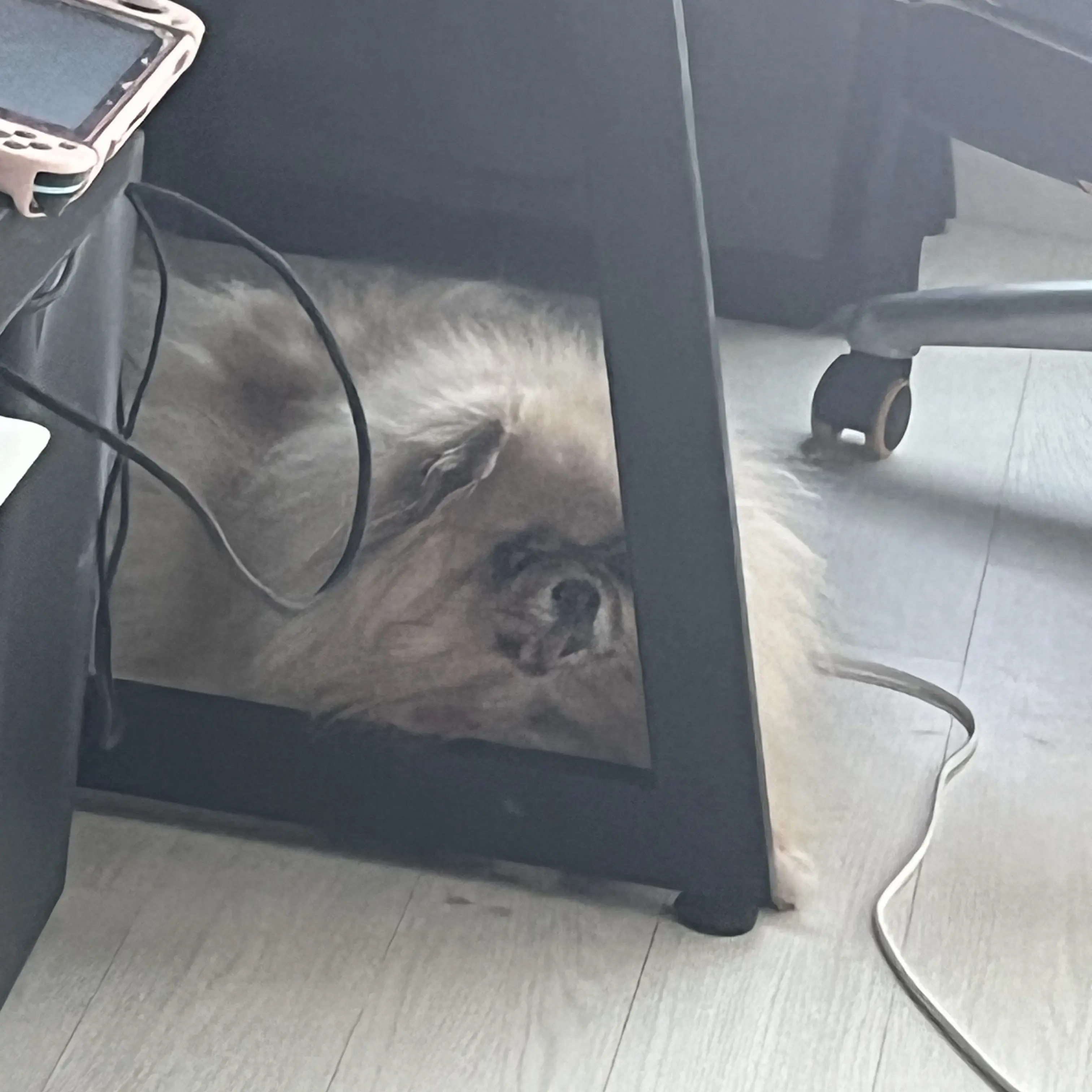 _1_2_3_의 와팸 현 멤버, 구 멤버 만나다