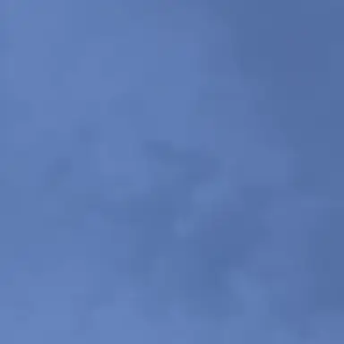 Profile image of ファン達