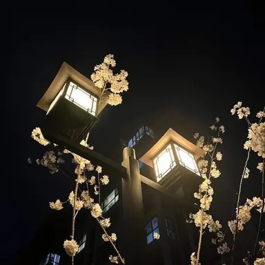 Profile image of 감제이