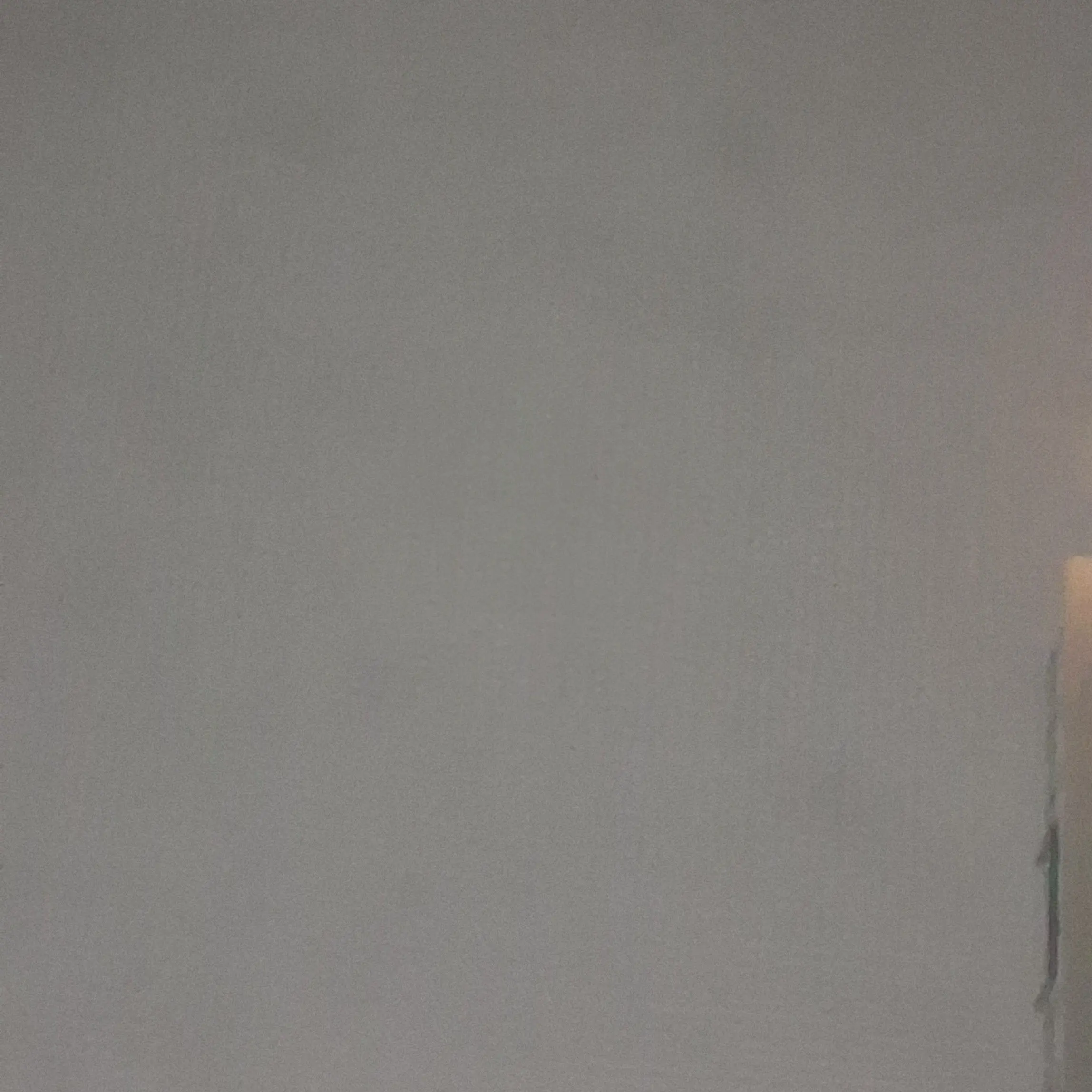 JoyfulGesso1209의 마크주민 마을 (털기)