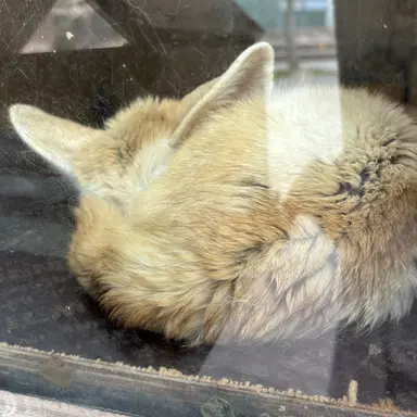 Profile image of 최연준