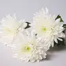 Profile image of 정말 죄송합니다