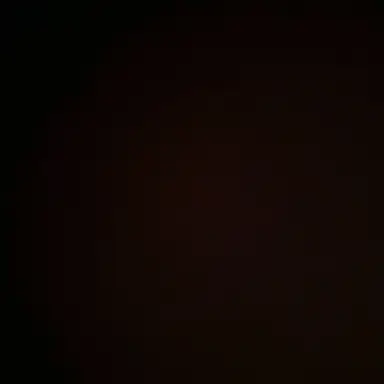 Profile image of 도리코