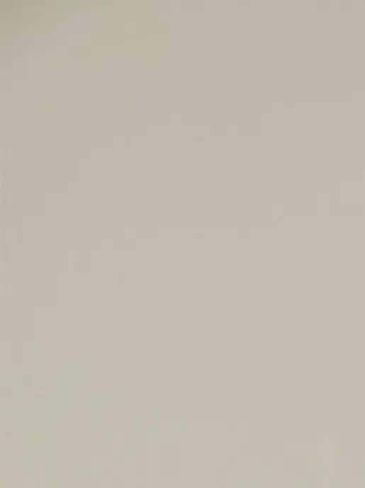 HeftyKnife8711의 幼馴染のコンイズ