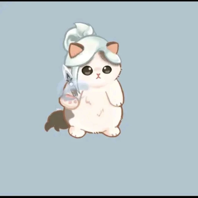 제트(고양이)