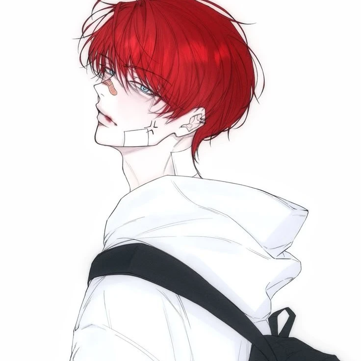 정도운