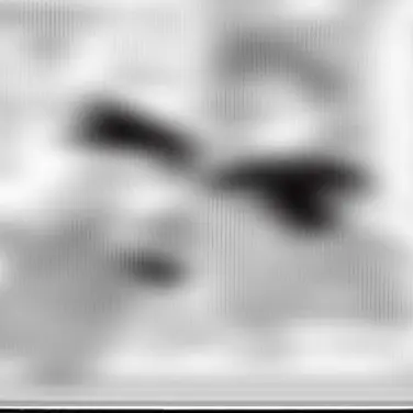 Profile image of 호네카와 씨