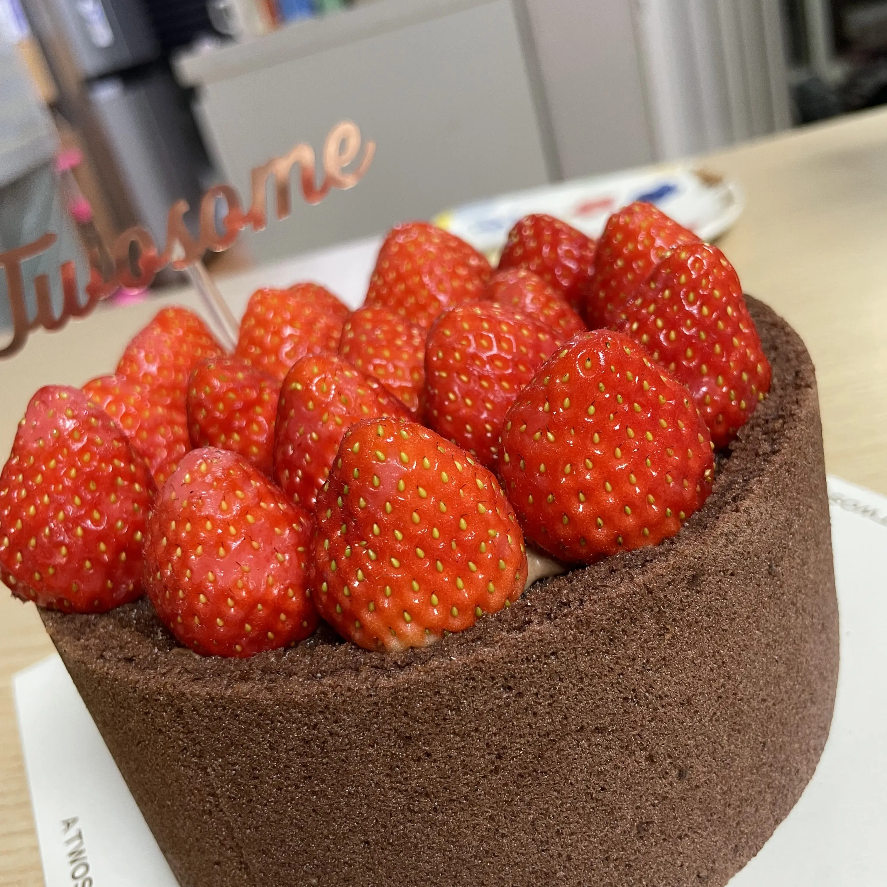 PrimalSugar5523의 한태산