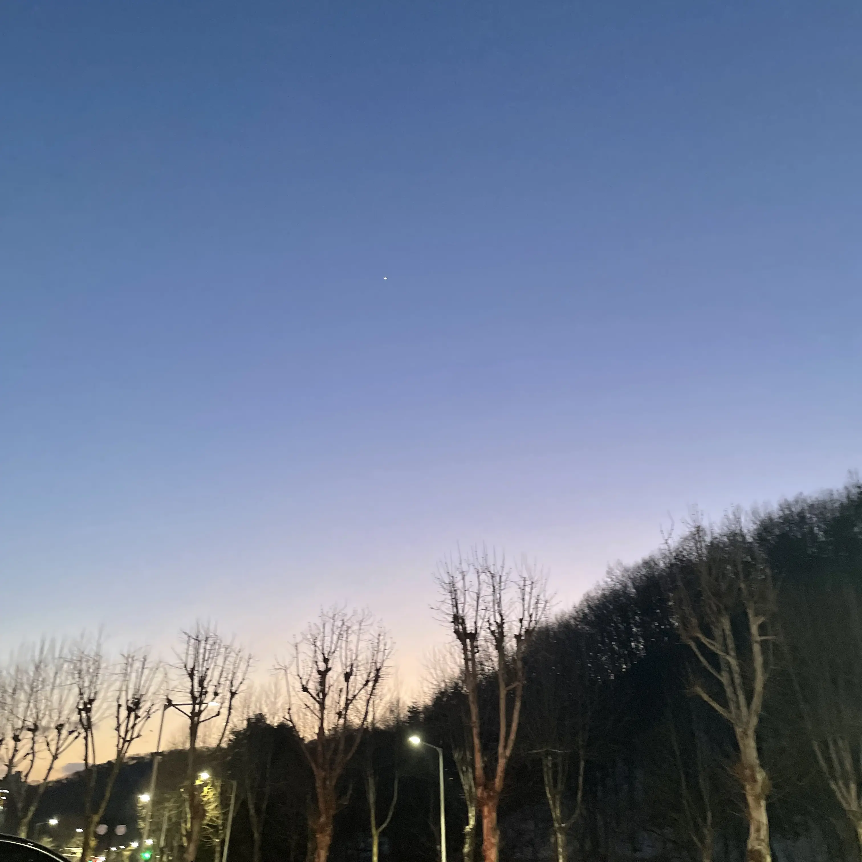 MagicActor4343의 F6 조직