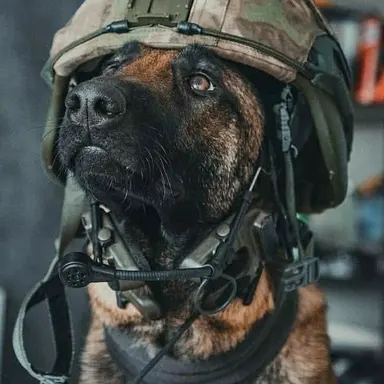 Profile image of Echo