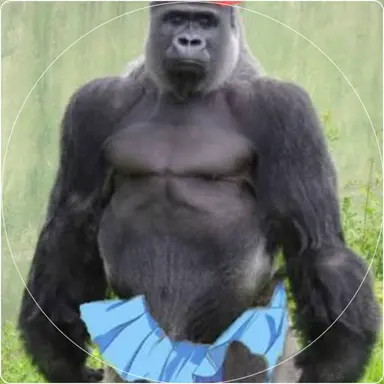 Profile image of 여우