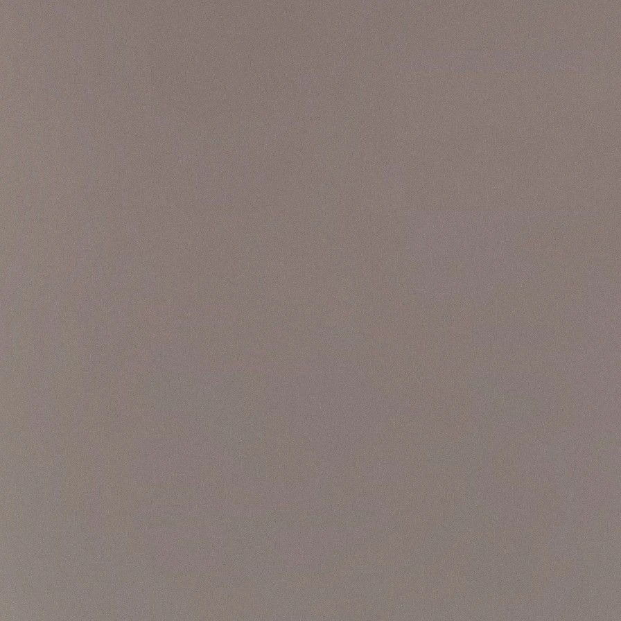 양정인