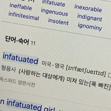 Profile image of 파이브